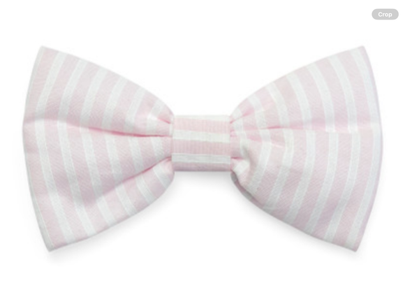 ADee Claire seersucker bow 012523